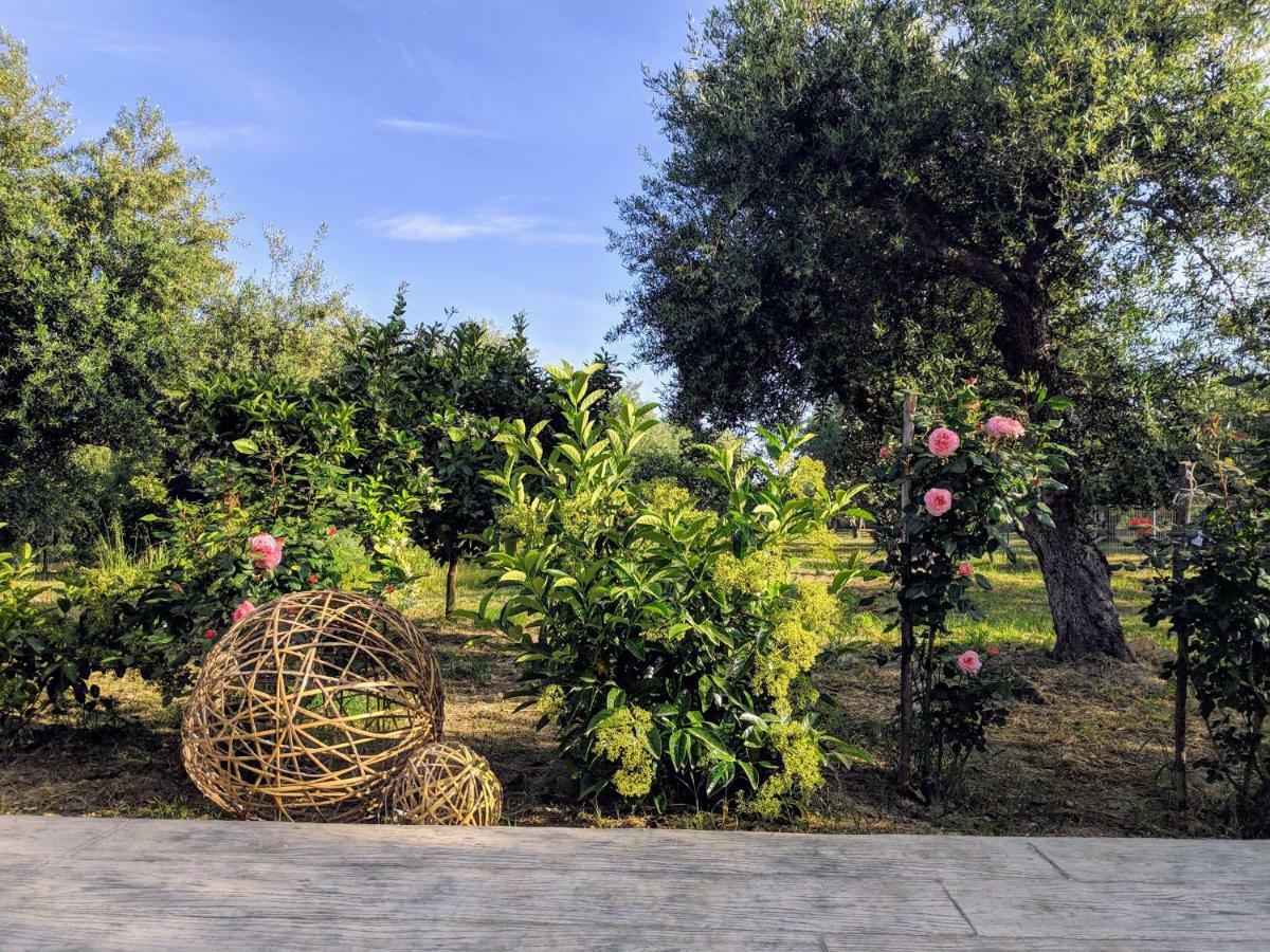 Casa Di Porto Roma Daire Vasilikí Dış mekan fotoğraf